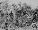 Image 2-4