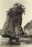 Image 2-5