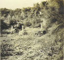 Image 2-6