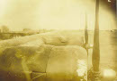 Image 2-1