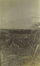 Image 2-4