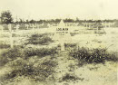 Image 2-6