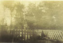 Image 2-5